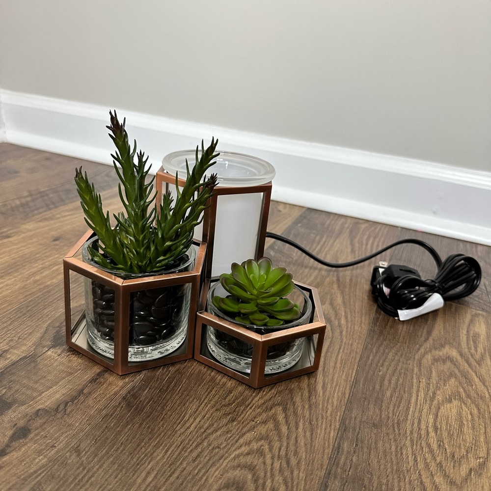 Wild Desert Scentsy Warmer - Picture 1 of 7